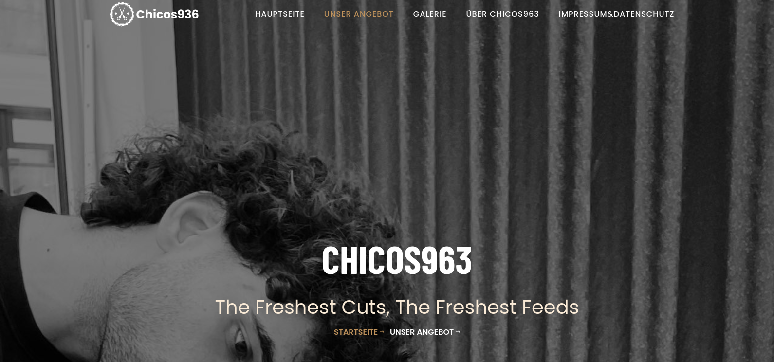 Chicos963 Website Preview